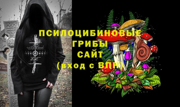 ГАЛЛЮЦИНОГЕННЫЕ ГРИБЫ Абинск
